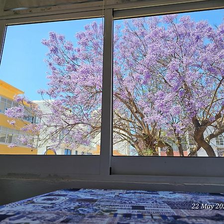 Blife Farensya Private Rooms Faro Ngoại thất bức ảnh