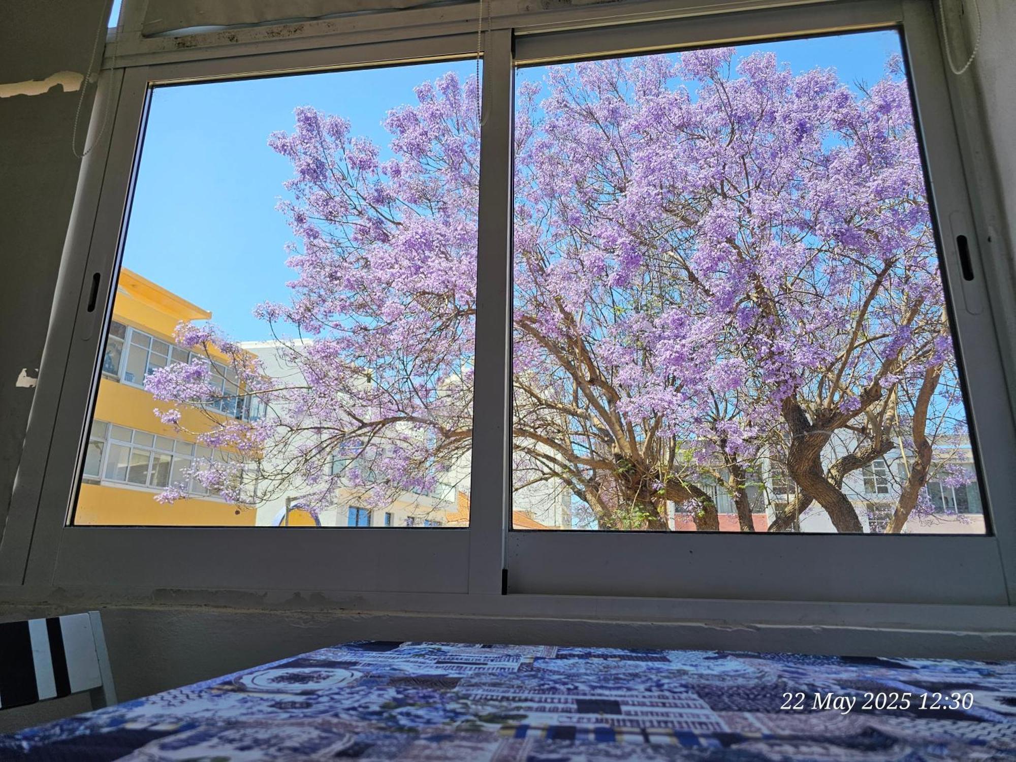 Blife Farensya Private Rooms Faro Ngoại thất bức ảnh